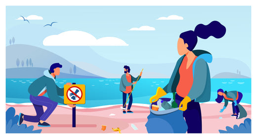 The Importance of World Oceans Day Stream2Sea Global Ocean and Sea, Reef Safer, Eco friendly, Organic