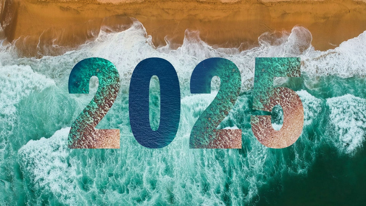 2025 Year in Review