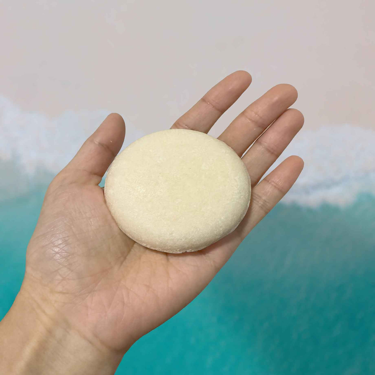 Naturally Naked Shampoo & Body Bar Stream2Sea Global Ocean and Sea, Reef Safer, Eco friendly, Organic