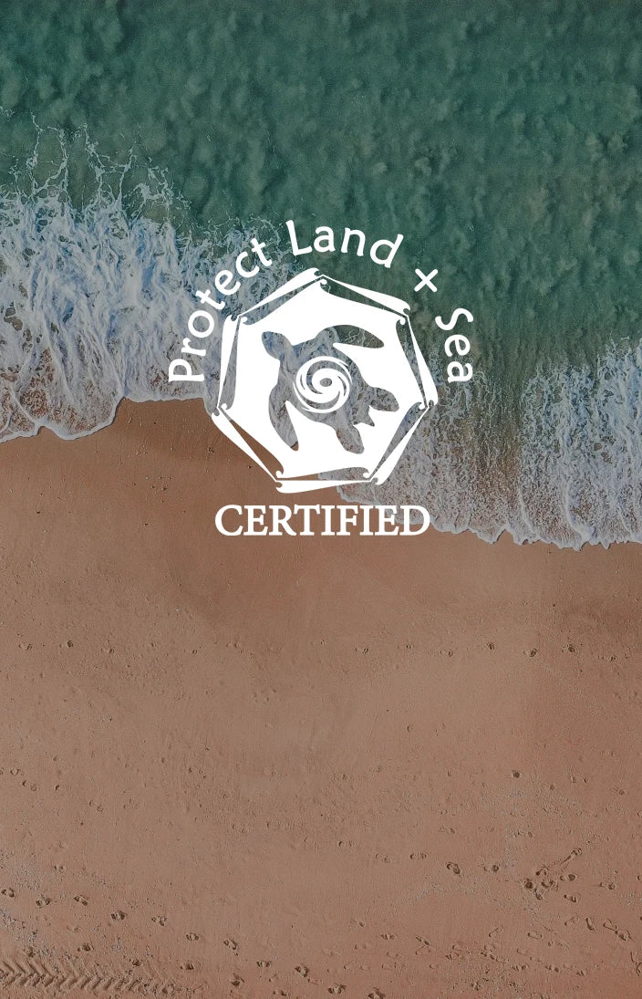 Reef Safe Sunscreen - Stream2Sea Global 202