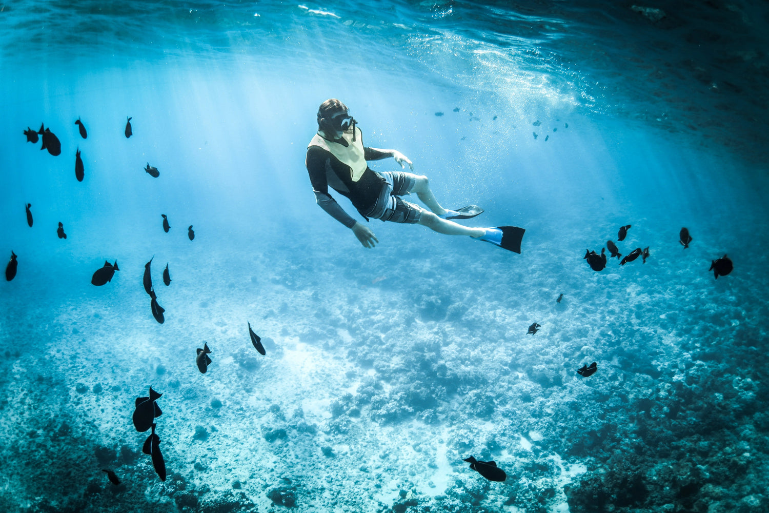 Diving - Stream2Sea Global 243