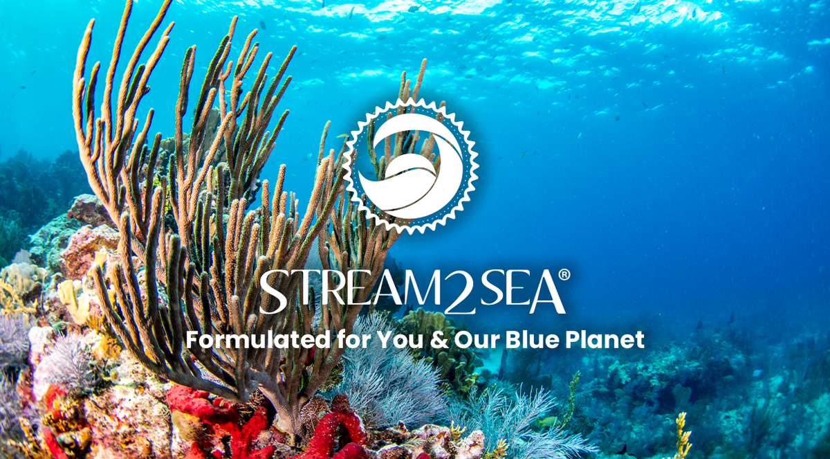 Load video: Stream2sea - Formulate for You and Our Blue Planet